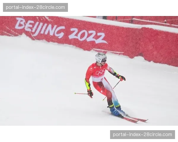 瑞士高山滑雪男子回转夺金 洛伊克梅拉德技术分优势